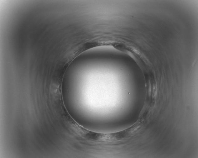 X0000067480521200604101232