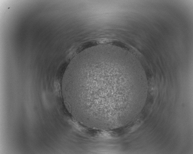 X0000067480523200604101232