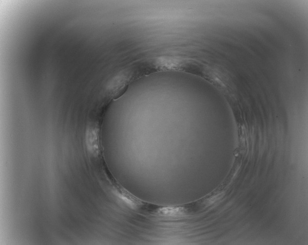 X0000067480526200604101232