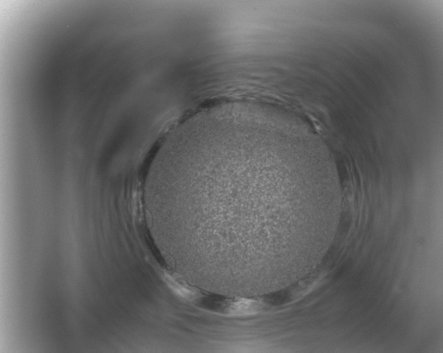 X0000067480527200604101232