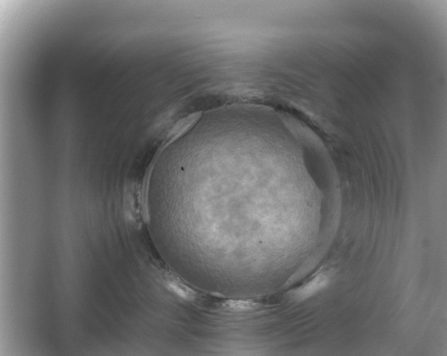 X0000067480528200604101232