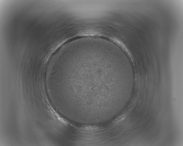 X0000067480529200604101231