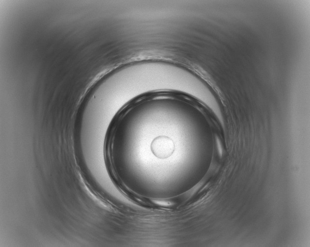 X0000067480530200604101231