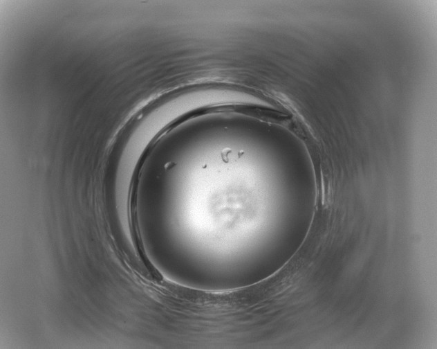 X0000067480531200604101231