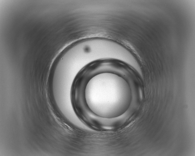 X0000067480532200604101231