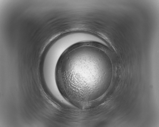 X0000067480535200604101232