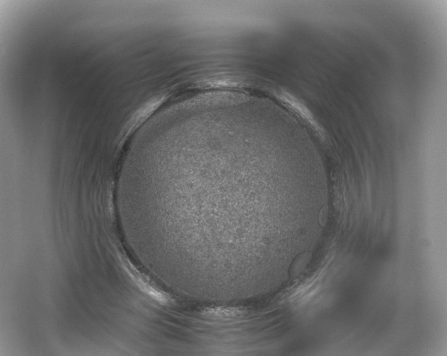 X0000067480537200604101232