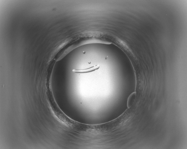 X0000067480538200604101232