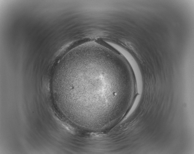 X0000067480539200604101232