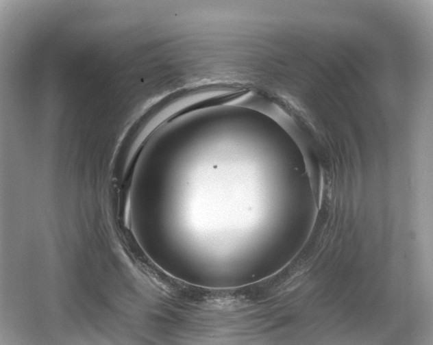 X0000067480540200604101232