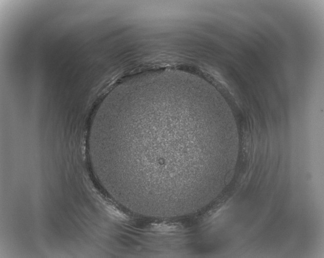 X0000067480545200604101232