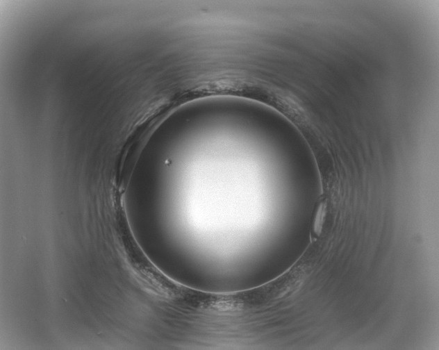 X0000067480546200604101232