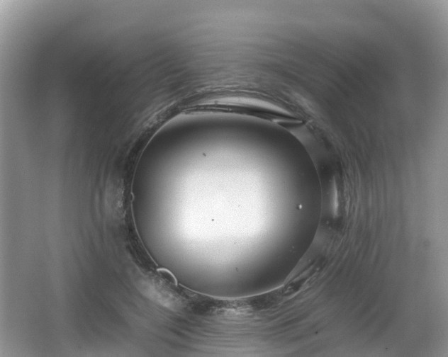 X0000067480548200604101232