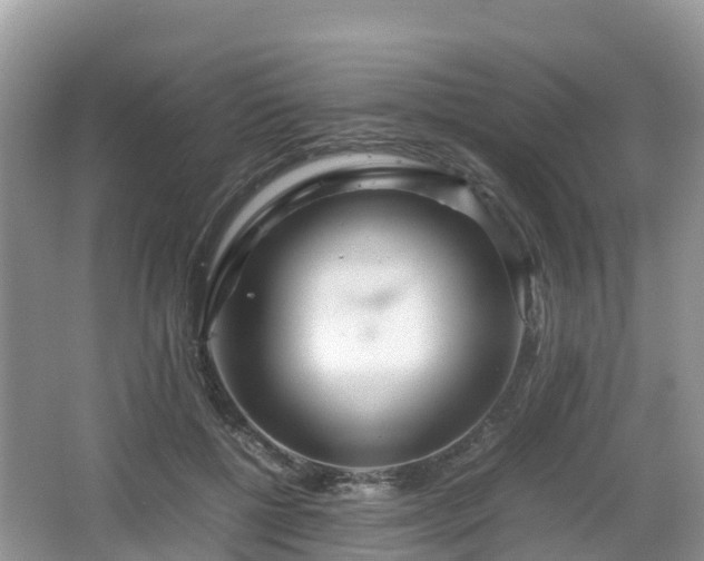 X0000067480552200604101232