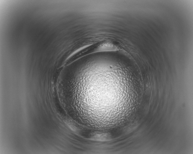 X0000067480555200604101232