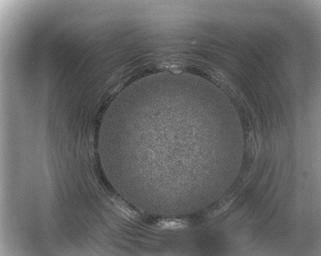 X0000067480557200604101232