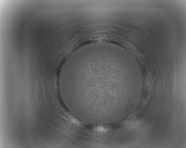 X0000067480565200604101232