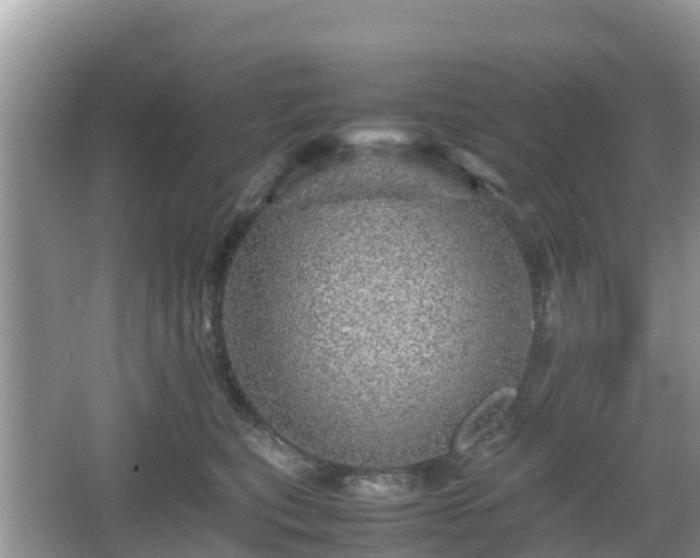 X0000067480567200604101232