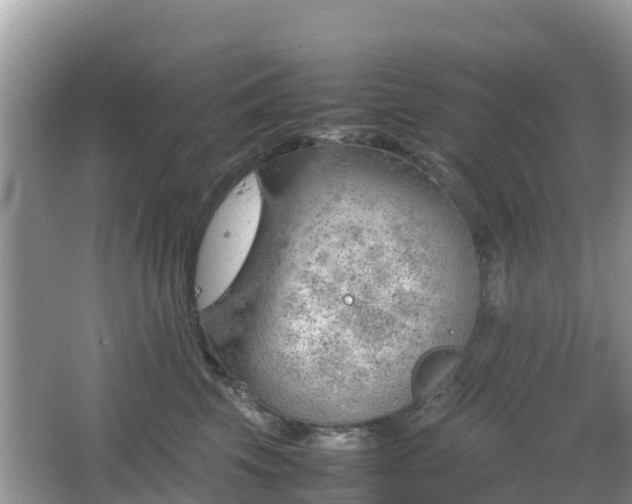 X0000067480569200604101232