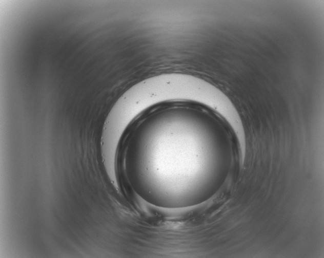 X0000067480570200604101232