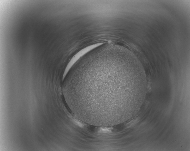 X0000067480573200604101232