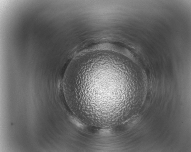 X0000067480574200604101232