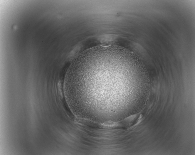 X0000067480575200604101232