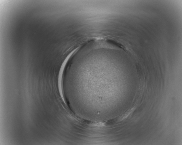 X0000067480576200604101232