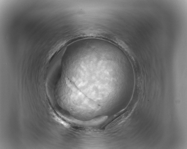 X0000067480577200604101231