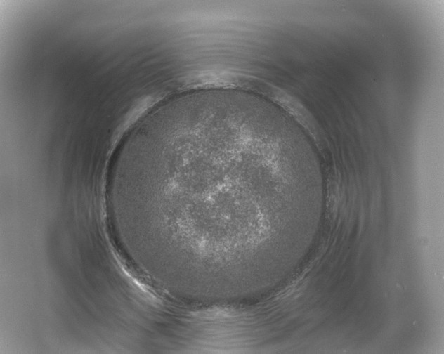 X0000067480578200604101231