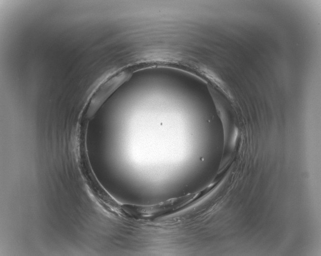 X0000067480580200604101231