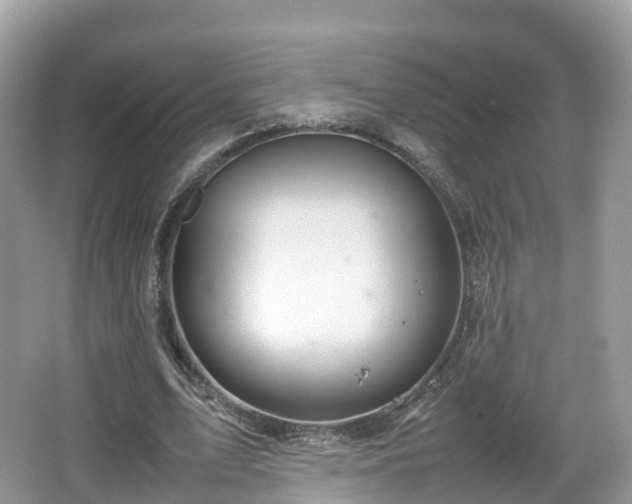 X0000067480583200604101231