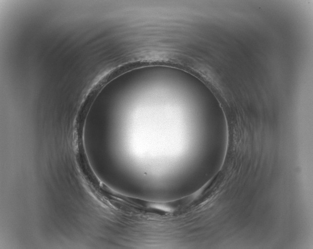 X0000067480584200604101231