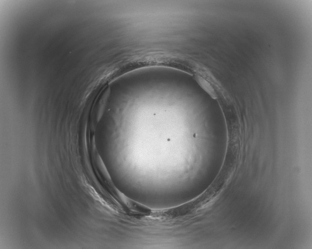 X0000067480585200604101231