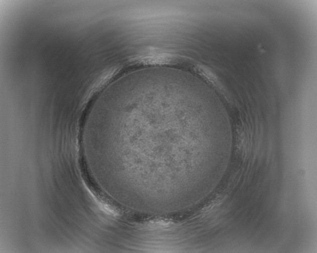 X0000067480586200604101231