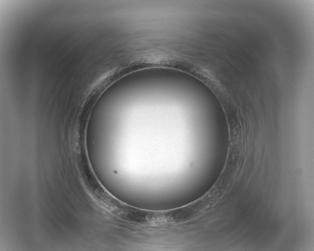 X0000067480587200604101231