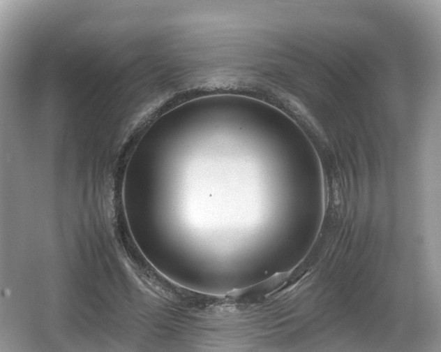 X0000067480588200604101231