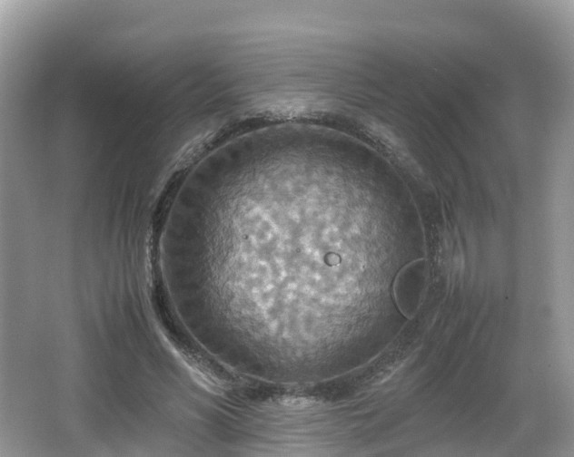 X0000067480590200604101231