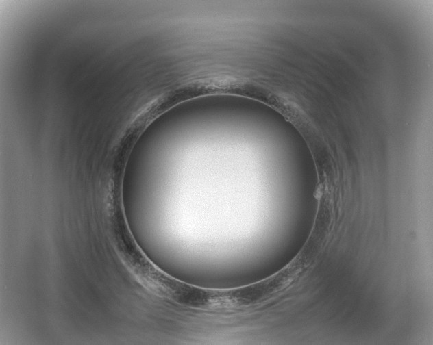 X0000067480591200604101231