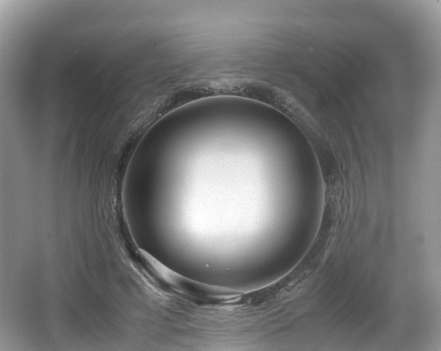 X0000067480593200604101231