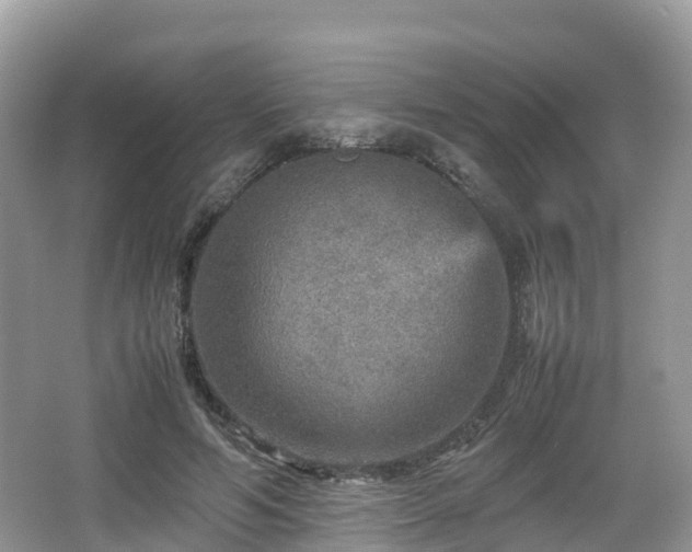 X0000067480594200604101231