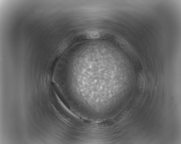 X0000067480598200604101231