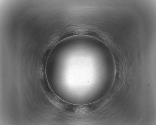 X0000067480599200604101231