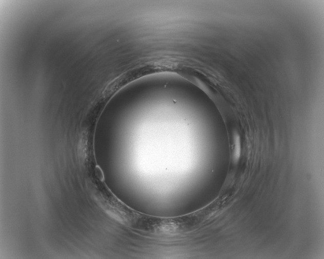 X0000067480600200604101231