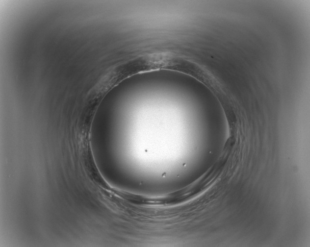 X0000067480601200604101231