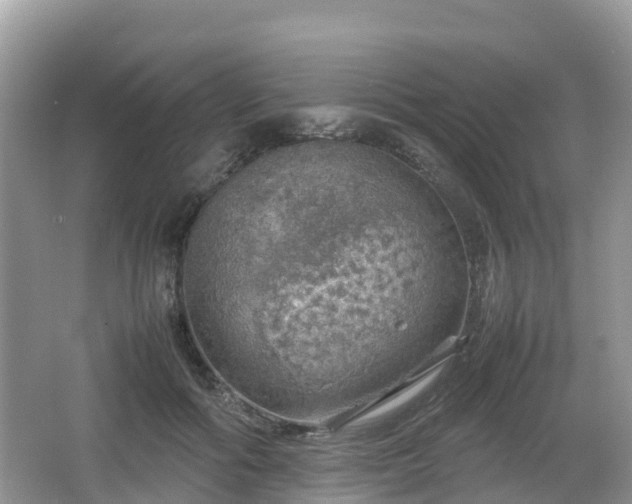 X0000067480602200604101231