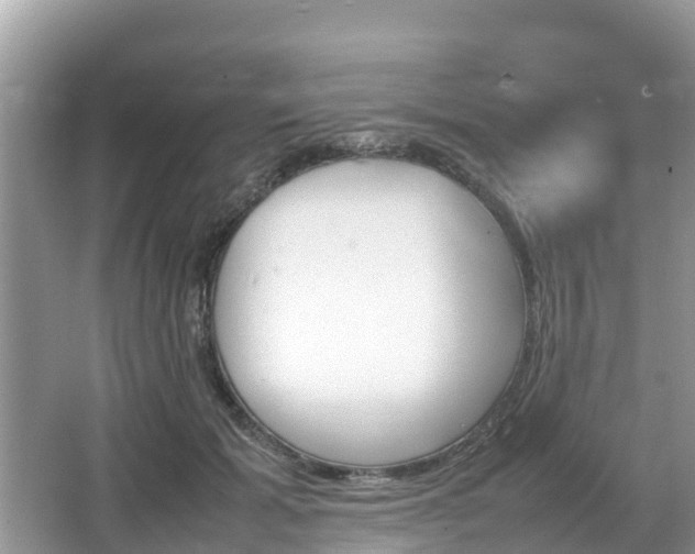 X0000067480605200604101231