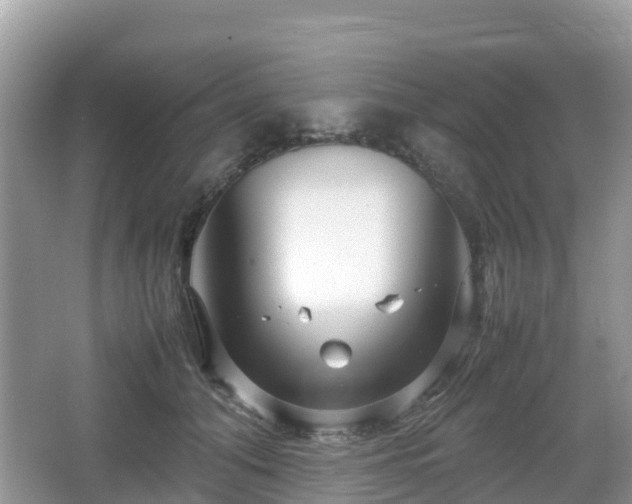 X0000067480608200604101231