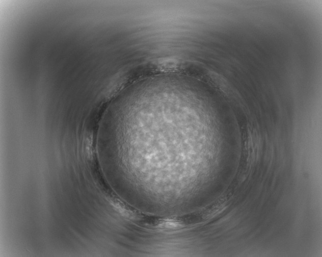 X0000067480610200604101231