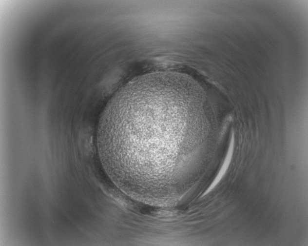 X0000067480615200604101231